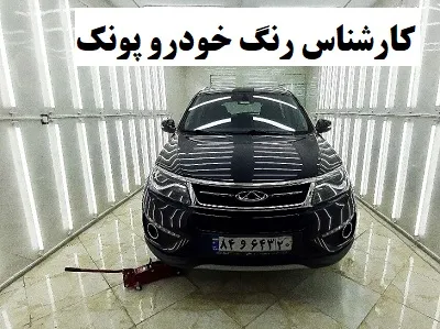 تشخیص رنگ پونک تشخیص رنگ پونک